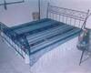B-11 Fish Tail Bed